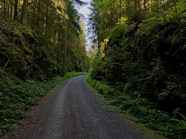 Naturpark Oberer Bayerischer Wald