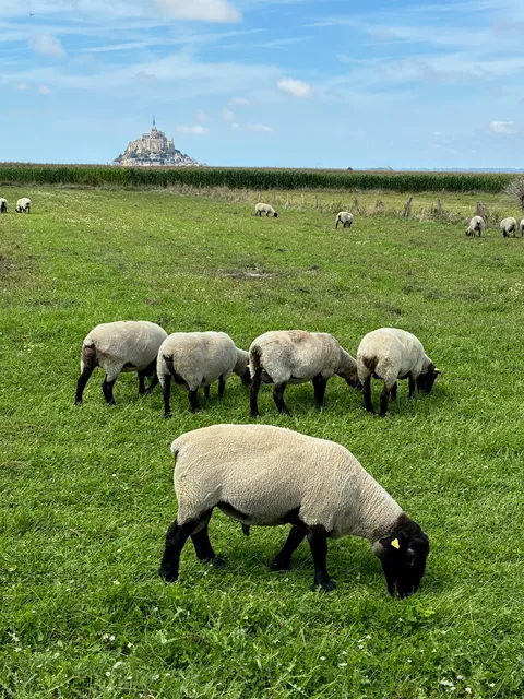 Mont-Saint-Michel
