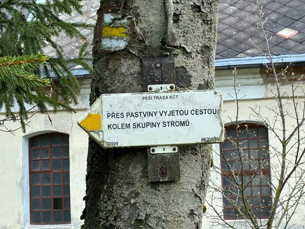 Oremon? Za krávama doleva