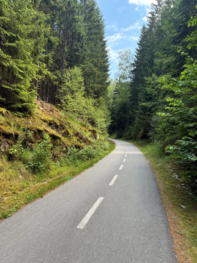 Cyklotrasa po zrušené železnici před městem Sázava