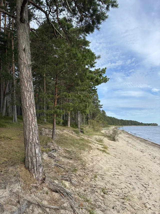 Pobřeží Rižského zálivu