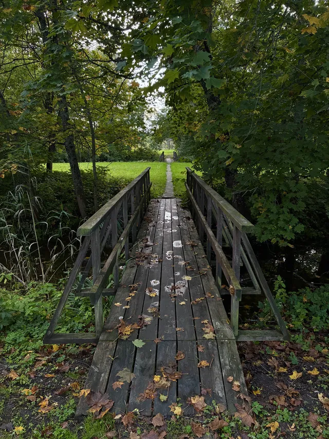 Cesta v národním parku Matsalu