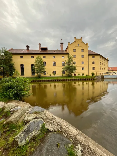 Plasy a řeka
