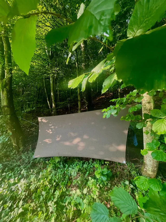 Ve svahu na kraji louky