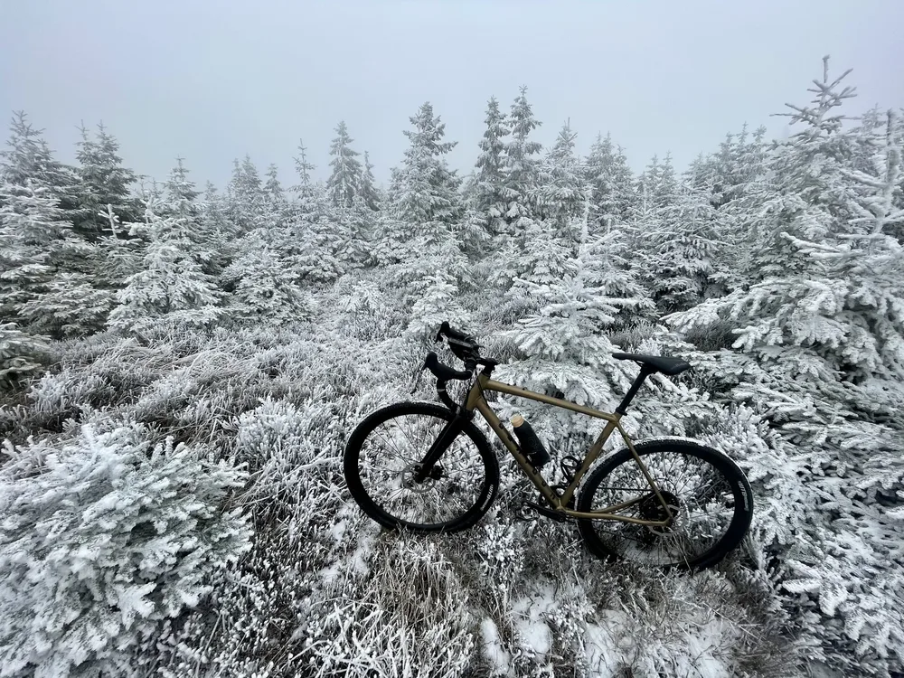 Zmrzlým lesem −6°C