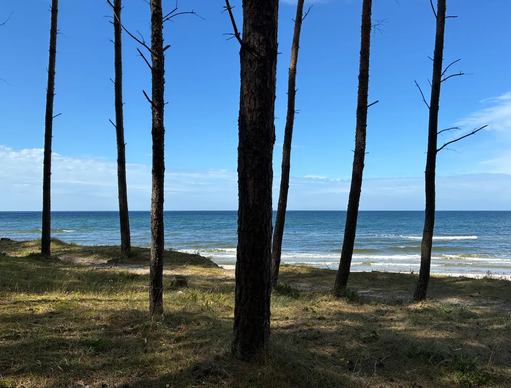 Necouvám a jedu. Jen občas jinudy🌲🚴‍♂️