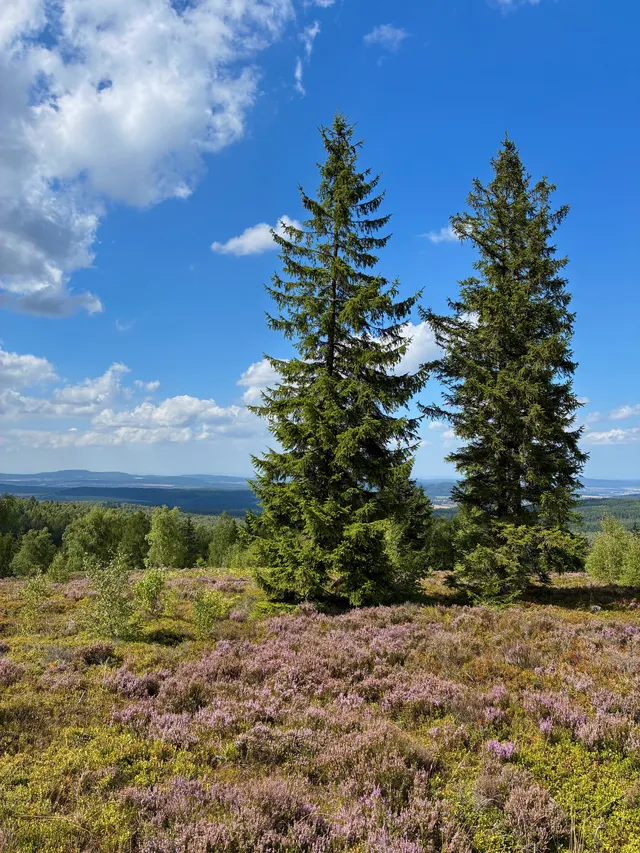 Tundra kolem vrcholu Houpák
