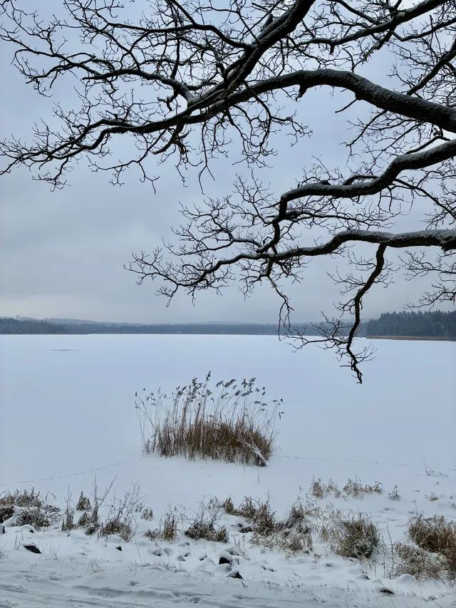 Zamrzlý rybník