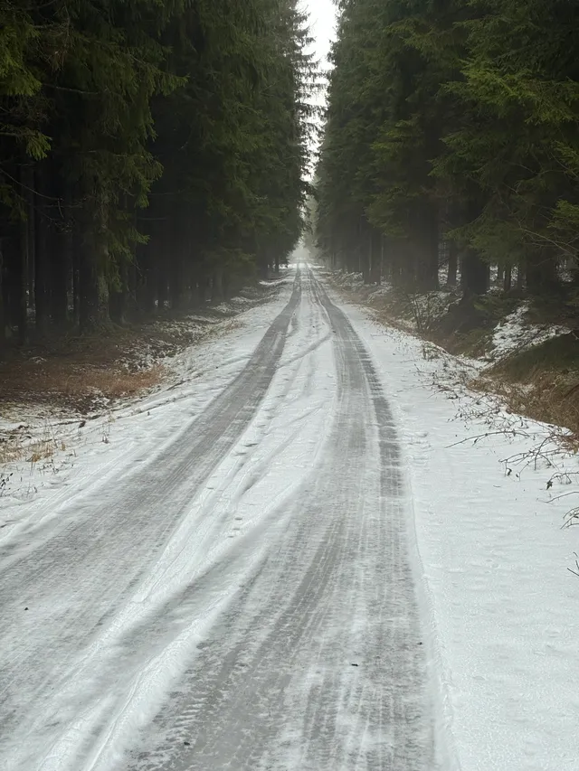 Mlha nad ledem